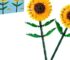 LEGO Sunflowers: Enjoy a 36% Discount!