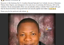 Kidnapped Plateau Catholic Priest Breaks Free from Captors