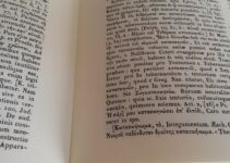 The Contemporary Evolution of the Greek Language