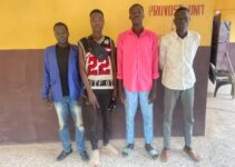 Four Illegal Immigrants from Cameroon and Chad Detained in Ogun