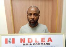 Nollywood Filmmaker Sentenced to Five Years in Prison for Drug Trafficking