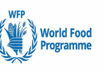 WFP Allocates .5 Billion to Combat Hunger Impacting 25 Million Nigerians