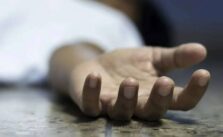 Woman kills and dismembers son after he attempted to assault her sister.