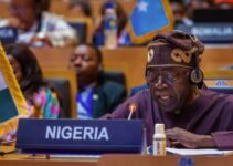 Nigeria’s President Tinubu Advocates for African-Led Credit Rating Agency at AU Summit