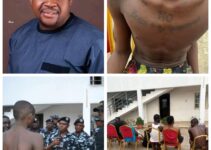 Police Apprehend Suspected Killers of Anambra Lawmaker