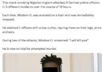 Nigerian Migrant Faces Trial for Assaulting and Stabbing Three Police Officers in Germany