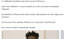 Nigerian Migrant Faces Trial for Assaulting and Stabbing Three Police Officers in Germany