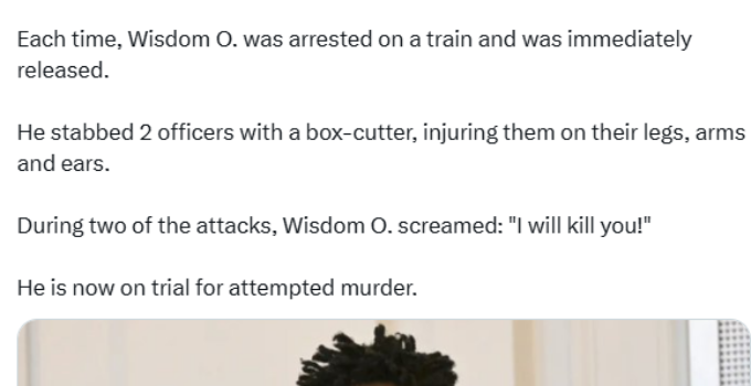 Nigerian Migrant Faces Trial for Assaulting and Stabbing Three Police Officers in Germany