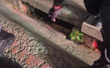 Mother apprehended for abandoning newborn in drainage system