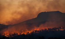 Climate Crisis: Indifference or Urgency?