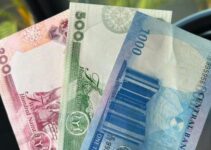 Naira Gains Ground Against Dollar in Official and Black Markets