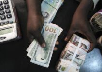 Naira Declines Again at Official Exchange Rate, Losing N3, While Gaining Ground in Parallel Market