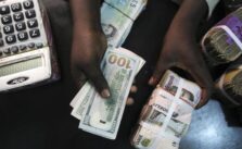 Naira Strengthens Against Dollar, Gains at Official and Parallel Markets