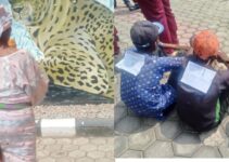 Ondo Amotekun Rescues 75-Year-Old Grandmother from Kidnappers After Assault