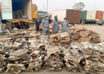 Customs Seizes Donkey Skins Valued at N4.2 Billion from Smugglers