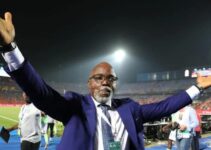 COSAFA and CECAFA Join Forces Against Pinnick Amid Major Obstacle in FIFA Council Bid