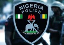 Gunmen Shoot Dead Two Police Officers in Yobe