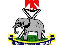 Ogun Police Arrest Woman for Stabbing Two Friends in Violent Assault