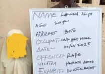 Man Arrested for Allegedly Assaulting 6-Year-Old Girl in Niger State