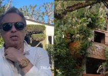 The Simpsons Producer Rick Polizzi Forced to Demolish 24-Year-Old Simpsons-inspired Tree House