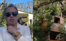 The Simpsons Producer Rick Polizzi Forced to Demolish 24-Year-Old Simpsons-inspired Tree House