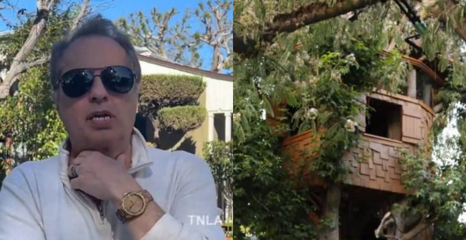 The Simpsons Producer Rick Polizzi Forced to Demolish 24-Year-Old Simpsons-inspired Tree House