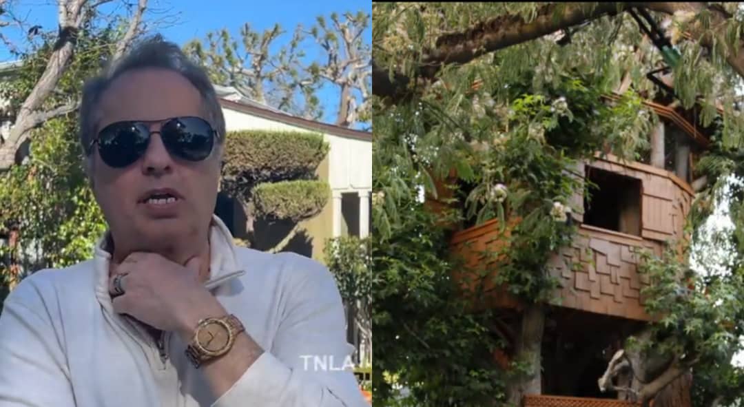 The Simpsons Producer Rick Polizzi Forced to Demolish 24-Year-Old Simpsons-inspired Tree House The Simpsons Producer Rick Polizzi Forced to Demolish 24-Year-Old Simpsons-inspired Tree House