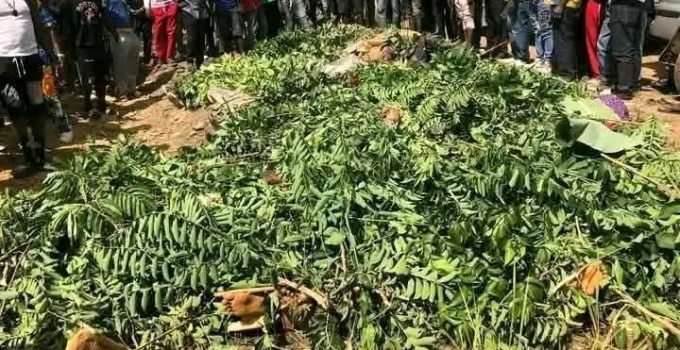Names of 51 Christians Killed by Islamic Jihadists on Palm Sunday in Nigeria