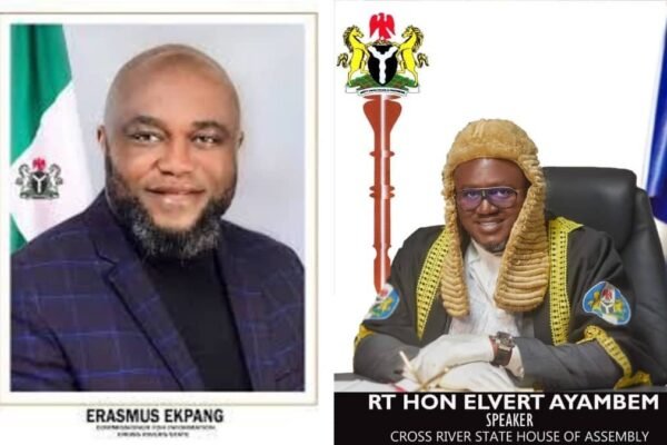 Rainstorm Wrecks Havoc in Calabar, Govt. Calls for Caution, Assembly Wants Old Trees Cut Down