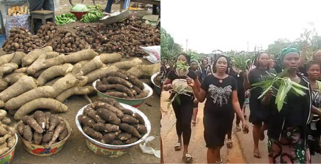 Food scarcity may hit Cross River as herdsmen allegedly invade farmlands