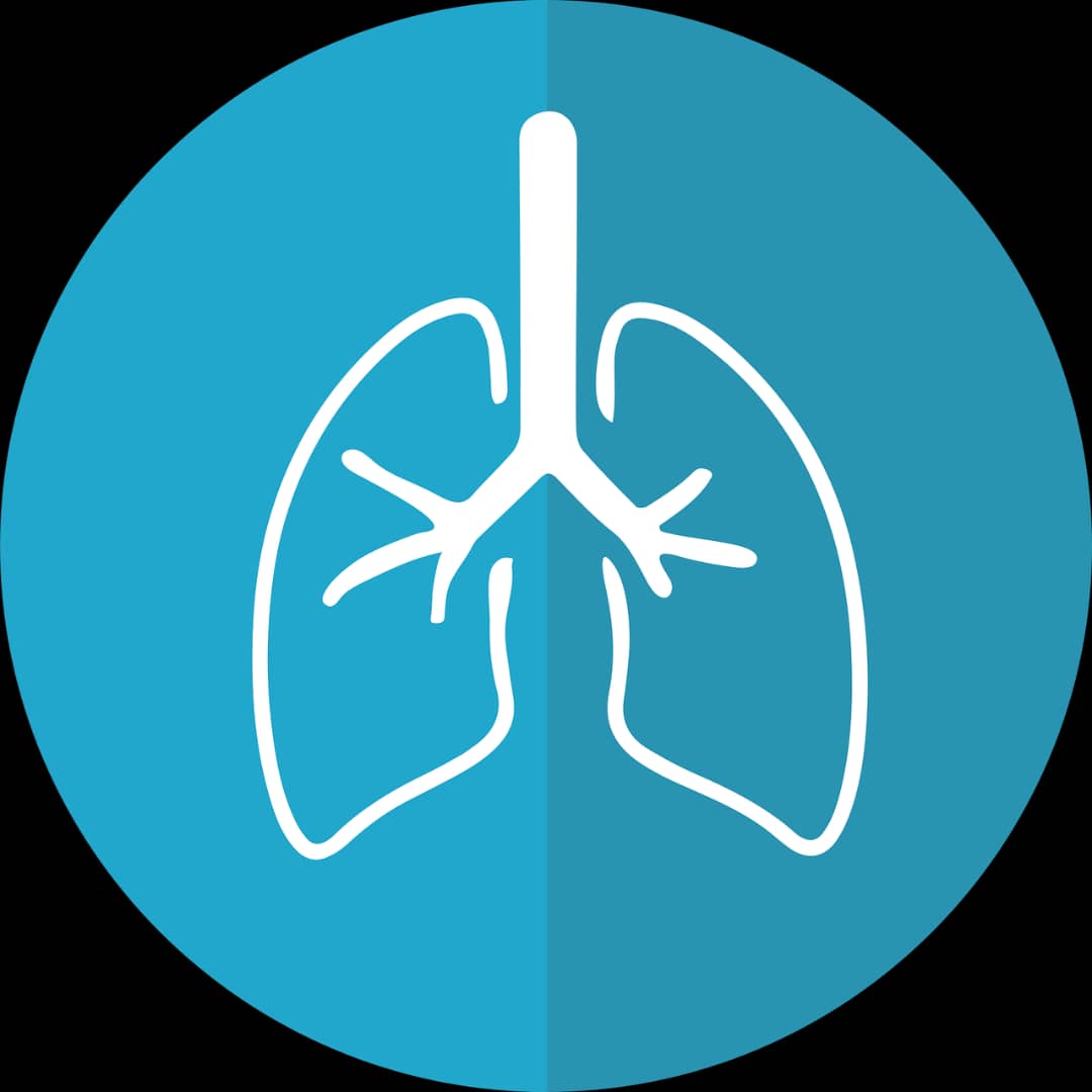 European Respiratory Society, European Lung Foundation applaud adoption of historic lung health resolution at 78th World Health Assembly