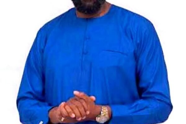 7dd0ccd7 0213 48f1 accf d57136bc61e5 Nigeria's Democratic Journey, Is a Classic Case of Motion Without Movement, APC Chieftain