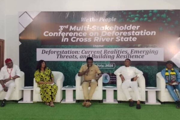 Fears as Deforestation Crisis in Cross River Hits Catastrophic Level