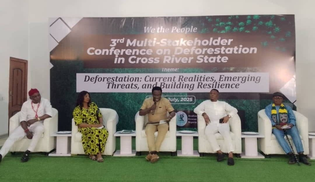 a6df7a01 9d68 45ed ac10 cab71d37a516 Fears as Deforestation Crisis in Cross River Hits Catastrophic Level