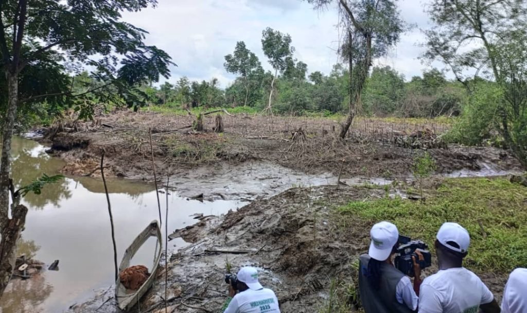 Cross River mangrove day