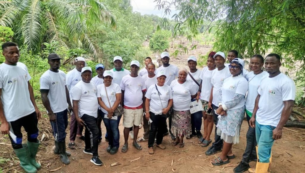 Cross River Forestry Commission marks 2025 mangrove day with field demonstration