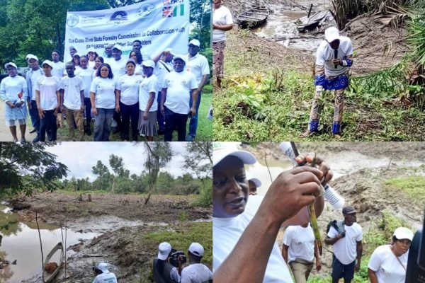 Cross River mangrove day