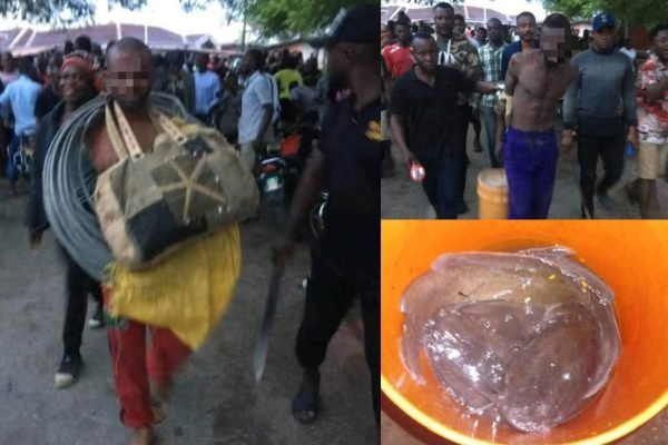 Vigilantes nab 2 for allegedly stealing fish, wires in Ugep