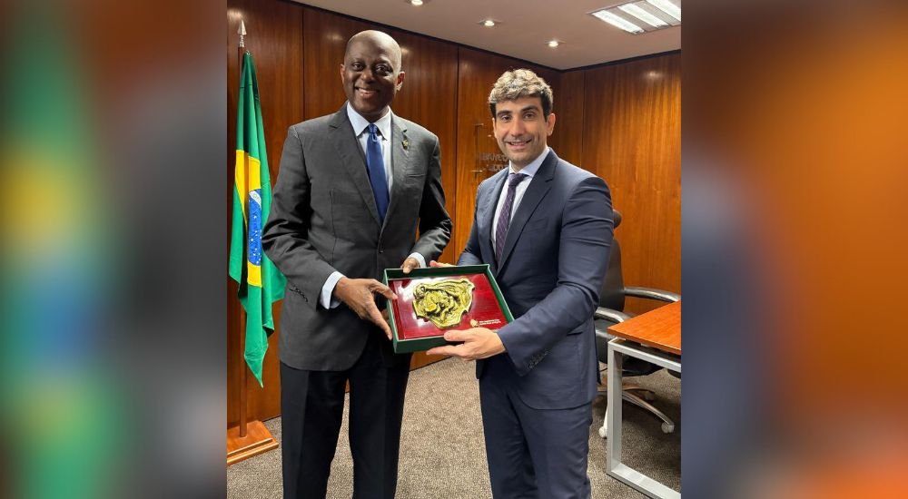 CBN, Brazil Central Bank deepen cooperation on financial stability