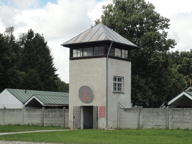 New database sheds light on victims of Nazi medical experiments