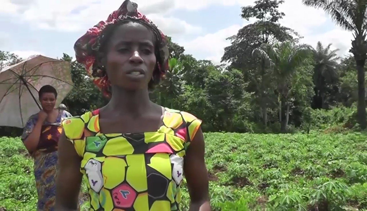 Sowing Hope: How C'River youths are farming their way out of unemployment