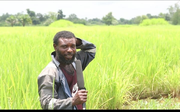 Sowing Hope: How C'River youths are farming their way out of unemployment