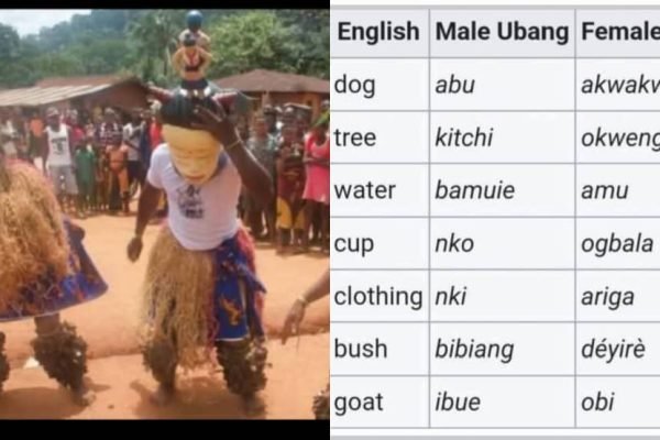 Extinction hits Community where men and women speak different languages in Cross River