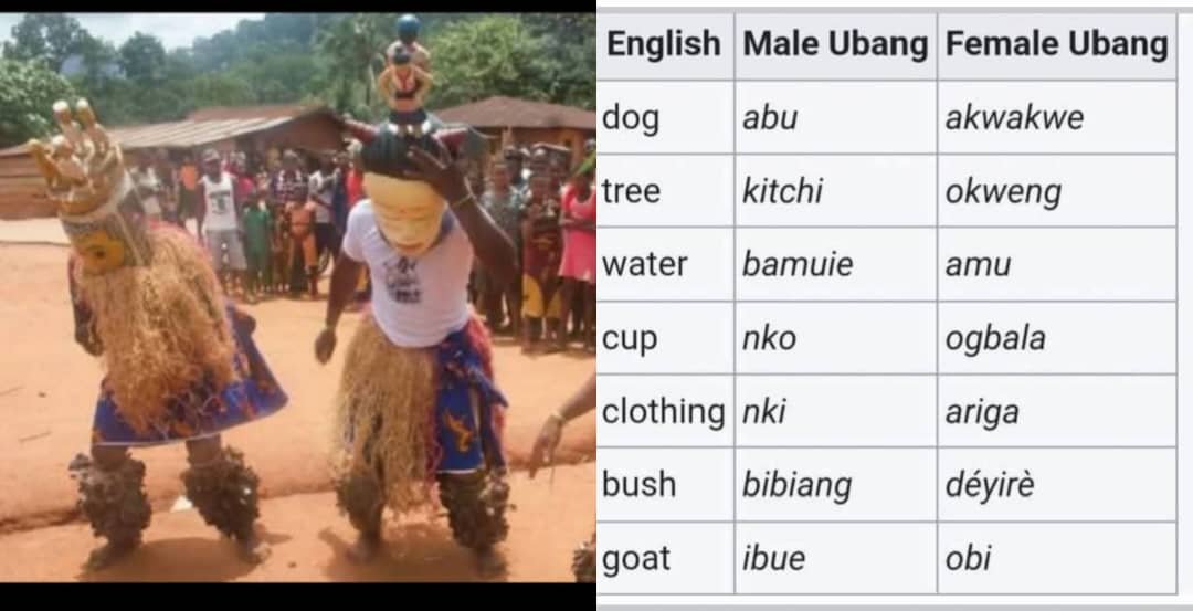 Extinction hits Community where men and women speak different languages in Cross River
