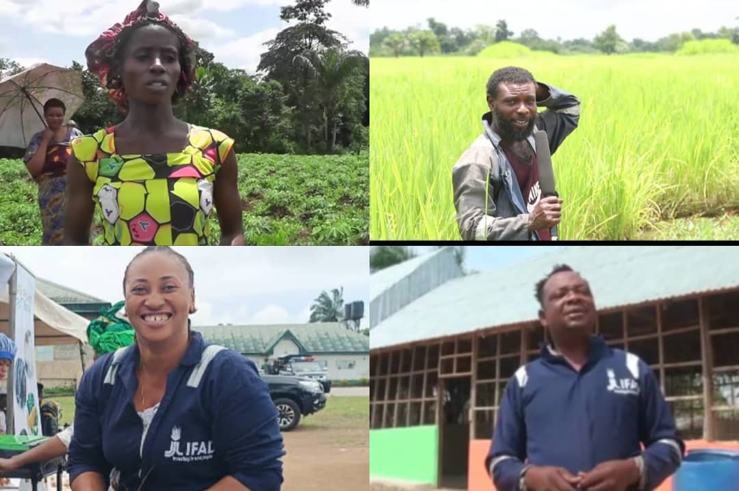 Sowing Hope: How C'River youths are farming their way out of unemployment