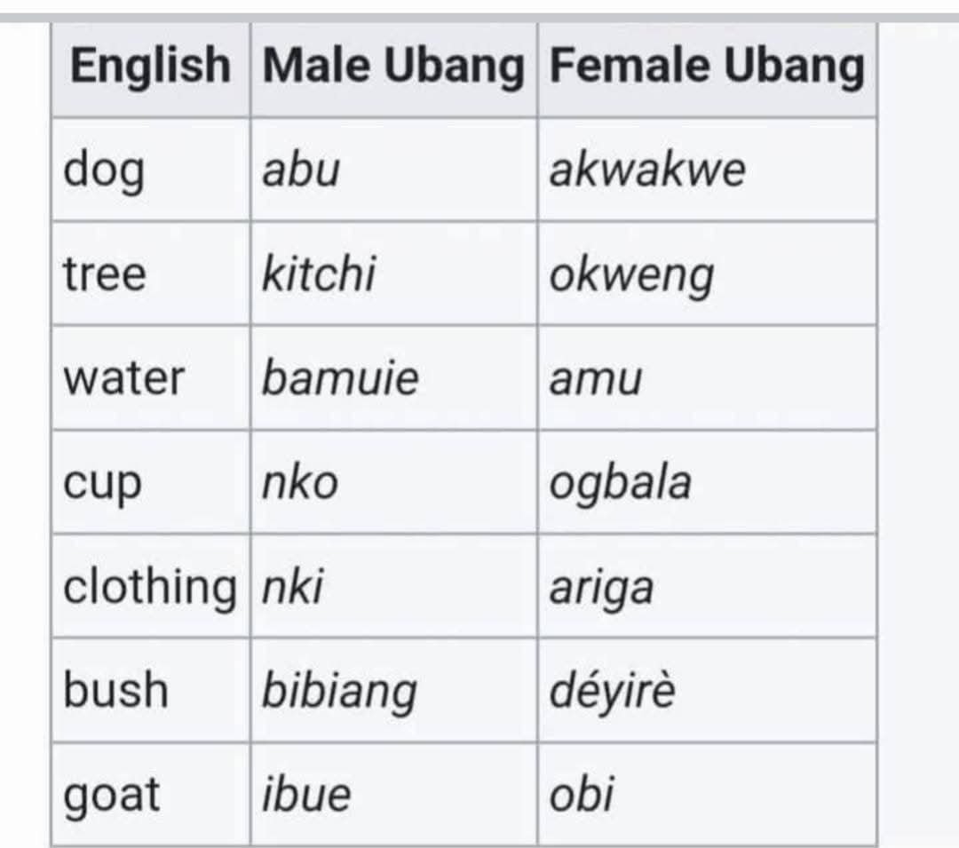Extinction hits Community where men and women speak different languages in Cross River