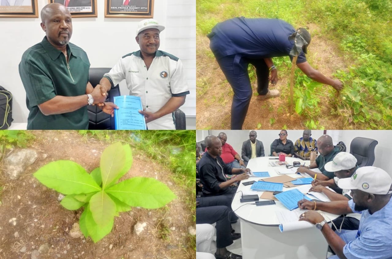 Cross River signs MoU with PROWPMAN to afforest 5000 hectares of land