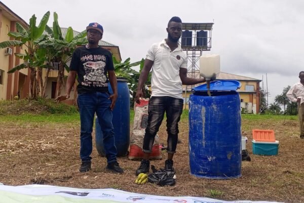 Group insists, GMOs won’t solve Nigeria’s food crisis