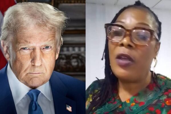 Nigerian Don advocates presentation of book on environment to Trump