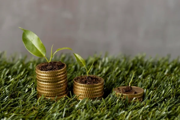 Local innovator beats 40 countries to claim top prize with algae-based fossil fuel replacement